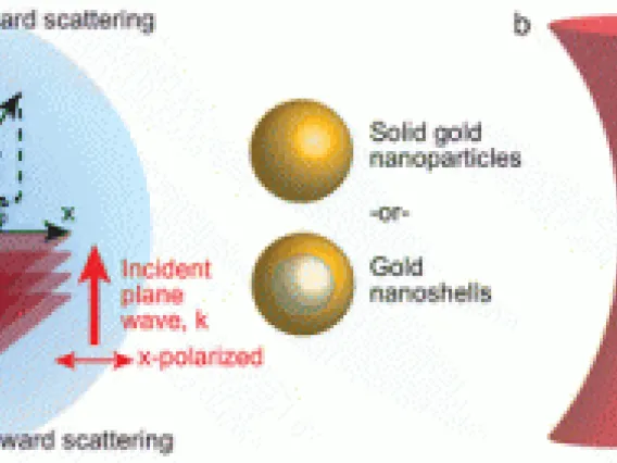 Optics Site Image