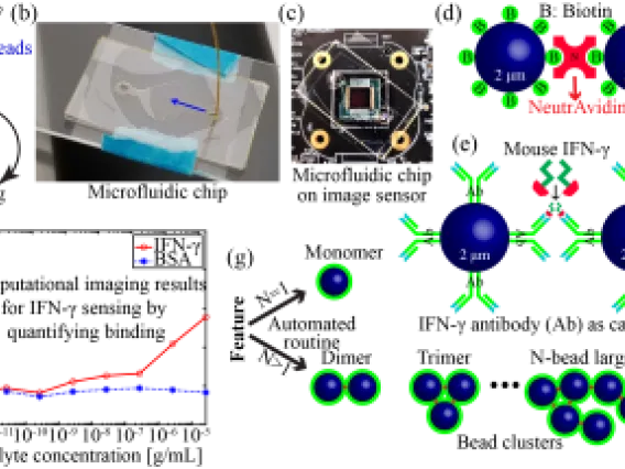 Optics Site Image