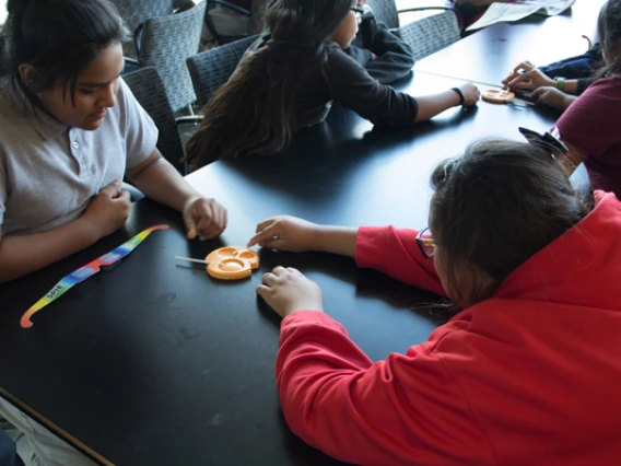 Visiting students