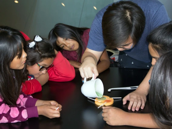 Visiting students making lollipops