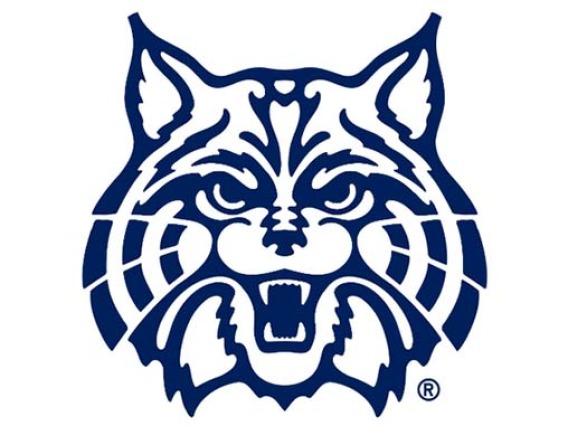 Generic Image of Wildcat used for profile photos