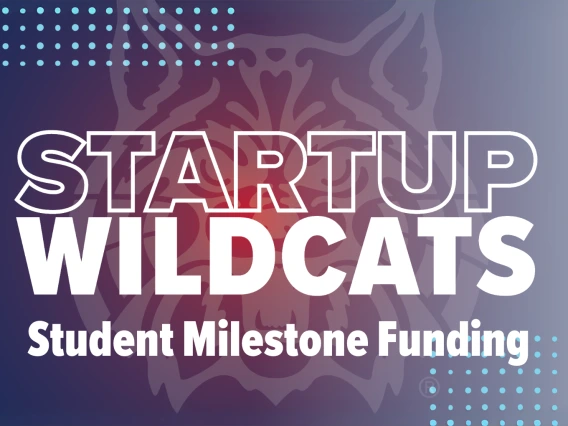 startup wildcats