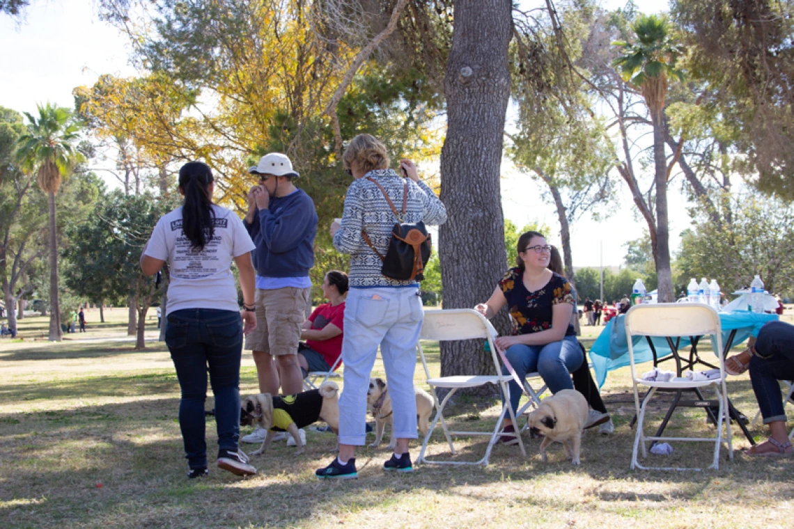 OSC Picnic 2018