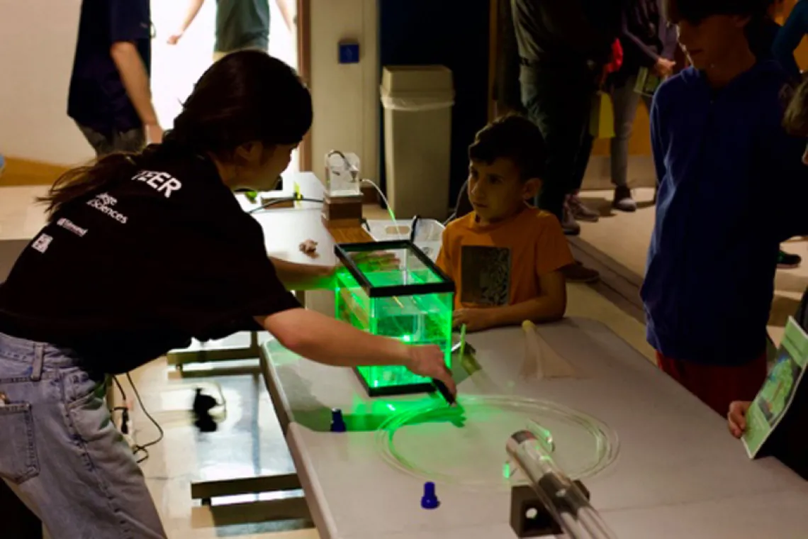 Laser Fun Day - Eden McEwen 29