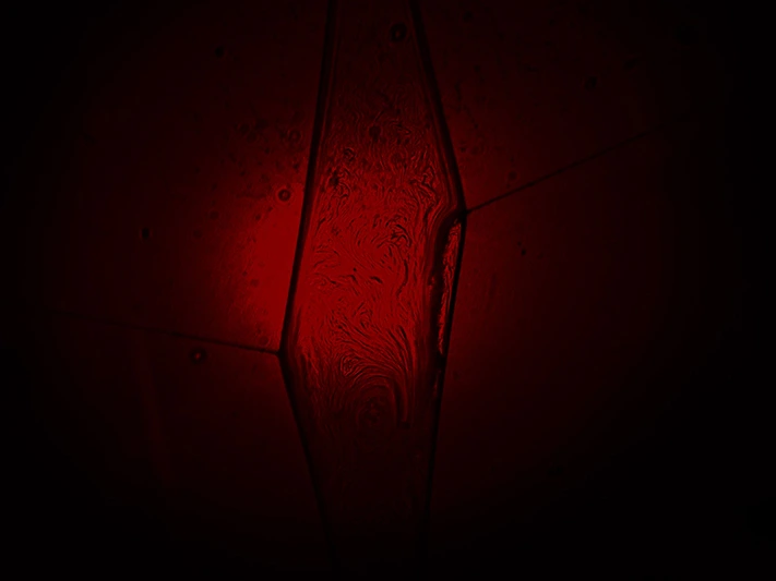 2017-Laser-Fun-Day-Web