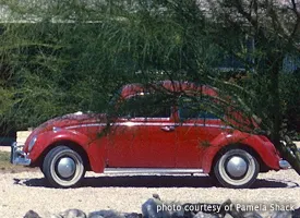 vw beetle