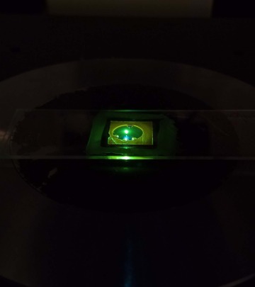 fluorescence in lab 