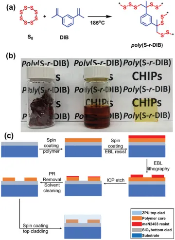 Norwood Lab Research Image