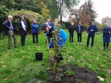 Memorial Tree Planting for Stephan Koch