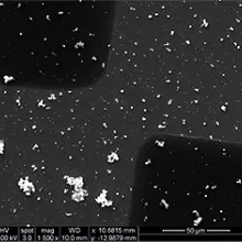 scanning electron microscope sample
