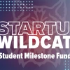 startup wildcats